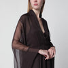 Alberta Ferretti Long brown silk dress
