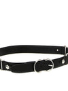 Pinko Lois Belt