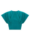 Pinko Asparago Top