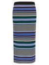 Pinko Terra Skirt