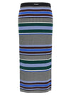 Pinko Terra Skirt