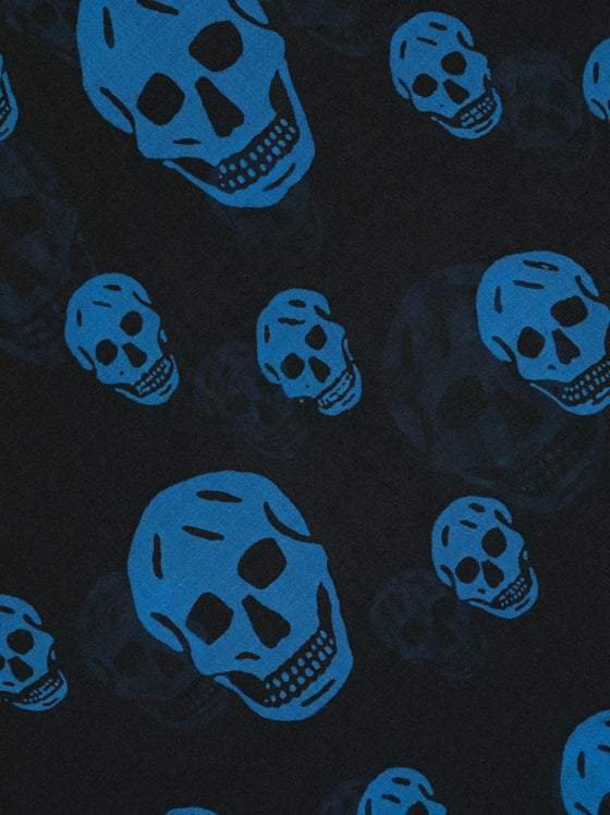 Alexander McQueen Skull silk blend scarf