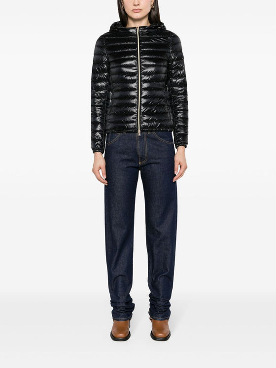 Herno Coats Black