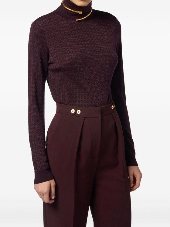 Elisabetta Franchi Sweaters Bordeaux