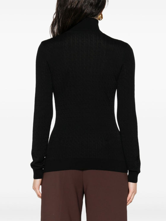 Elisabetta Franchi Sweaters Black