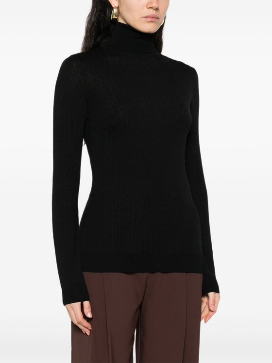Elisabetta Franchi Sweaters Black