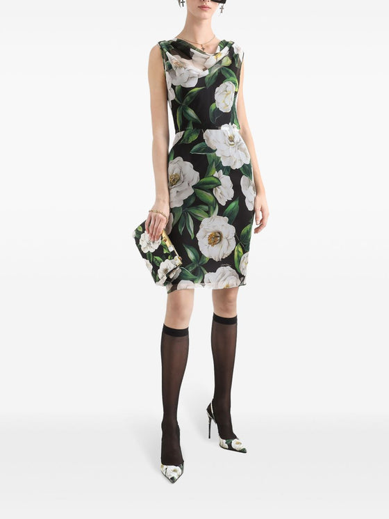 Dolce & Gabbana Gardenia-print chiffon midi dress