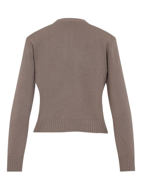Fabiana Filippi Sweaters Brown