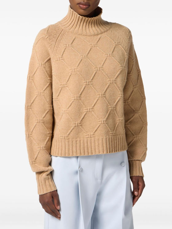 Elisabetta Franchi Sweaters Beige