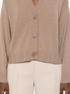 Fabiana Filippi Sweaters Brown