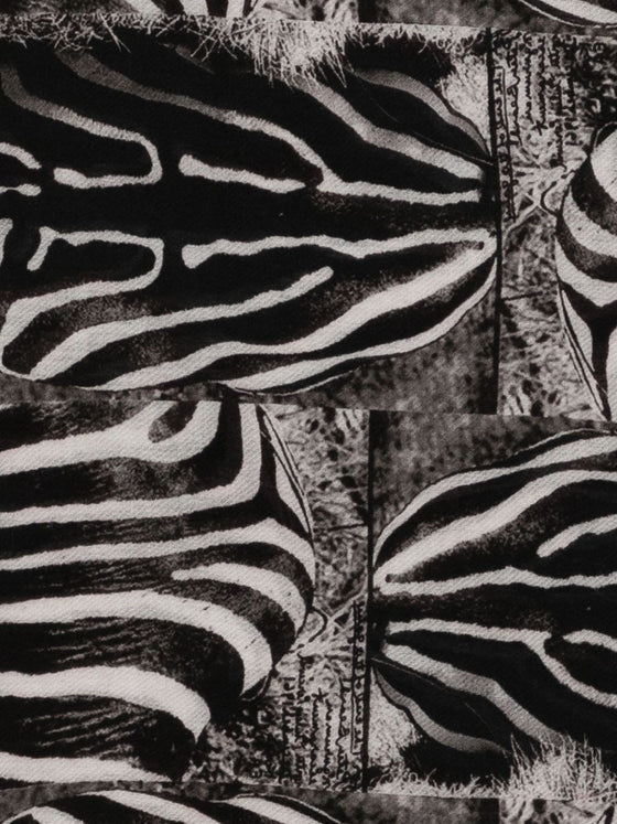 Faliero Sarti Zebra-print fringed scarf