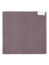 Brunello Cucinelli Scarfs Purple