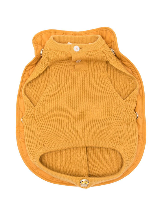 POLDO DOG COUTURE Accessories Orange