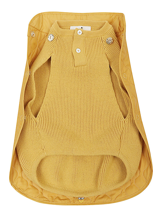 POLDO DOG COUTURE Accessories Orange