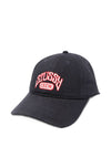 Stussy Hats Blue
