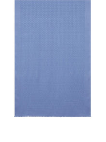  Ferragamo Scarfs Clear Blue