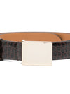 Alysi Belts Brown