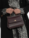 Dolce & Gabbana Bags.. VIOLET