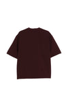 Emporio Armani T-shirts and Polos BROWN