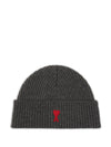 AMI PARIS Hats DARK
