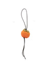 032C J.W.Anderson Accessories ORANGE