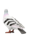 032C JW Anderson Pigeon Clutch