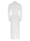 Max Mara Balzac Dress