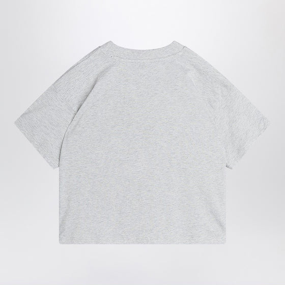 Mini Rodini light grey T-shirt with Flundra print