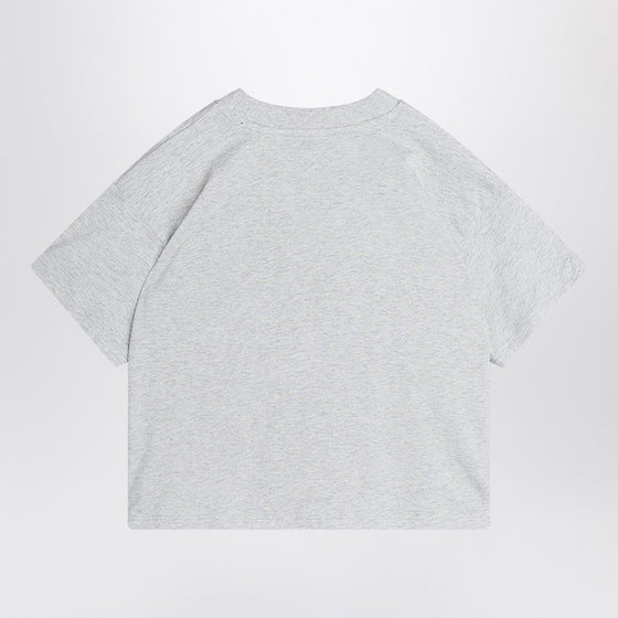 Mini Rodini light grey T-shirt with Flundra print