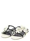 Zimmermann Orchid Slides