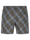 Burberry Swim Check