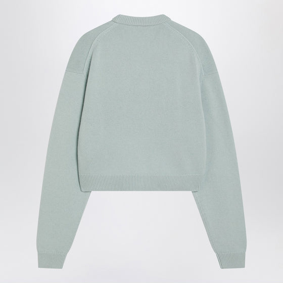 Acne Studios Faded mint wool v-neck sweater