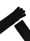 Max Mara Alaggio Gloves