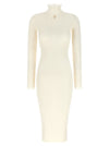 Elisabetta Franchi Ribbed Knit Dress