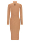 Elisabetta Franchi Ribbed Knit Dress