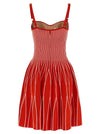 Elisabetta Franchi Knitted Dress