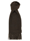 Agnona Scarf With Fringes