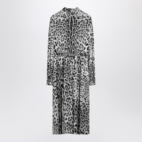 Dolce & Gabbana Dolce&Gabbana Leopard print silk longuette dress
