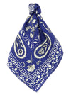 Alberto Biani Silk Scarf