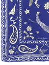 Alberto Biani Silk Scarf