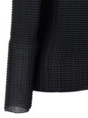 Issey Miyake Wooly Pleats Blouse
