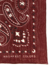 Alanui Bandana Paisley