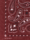 Alanui Bandana Paisley