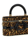 Roger Vivier Belle Vivier Vanity Mini Handbag