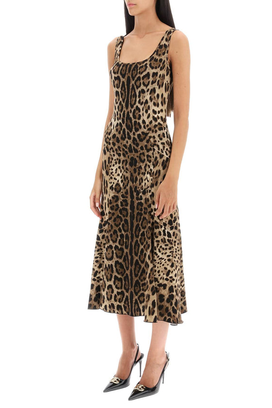 Dolce & gabbana leopard print jersey midi dress