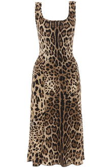  Dolce & gabbana leopard print jersey midi dress
